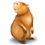 CapyBar.com