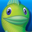Big Fish Coupons