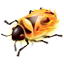 Firebug Lite Button