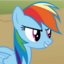 A Sonic Rainboom!