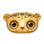 Leopards!