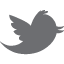 Twitter Mobile