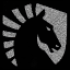 Team Liquid Streams