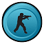 Counter Strike Game