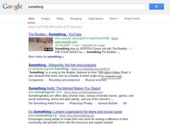 Google search results blocker
