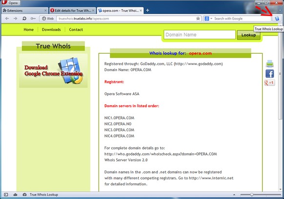 True Whois Lookup