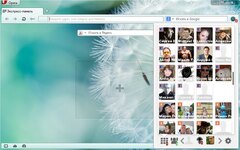 Speakall.net