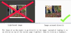 Lightbox Disabler