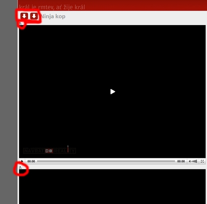 NDR Video Downloader