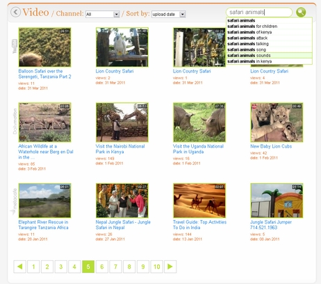 Video search