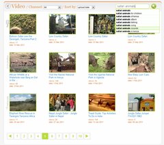Video search
