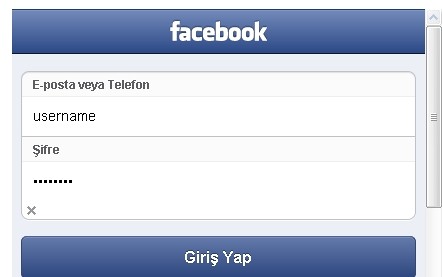 Facebook Mobile Widget