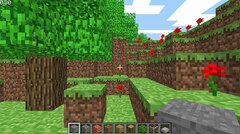 Minecraft Game