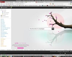 Grooveshark Adremover