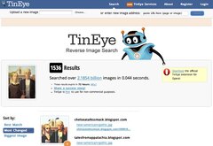 TinEye Reverse Image Search (Context menu)