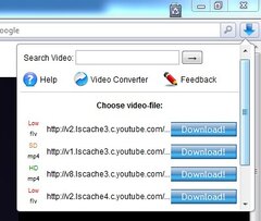 Flash Video Downloader