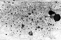 Mouse track