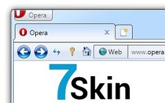 7 Skin