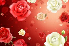 RedWave - Rose
