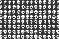 Skulls!