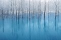 Blue Pond