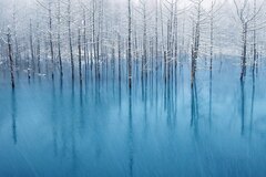 Blue Pond