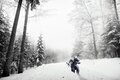 AC3 Snow Theme