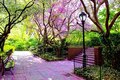 Petals Park