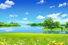 Dream Land