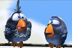 Animation Birds