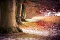 Autumn