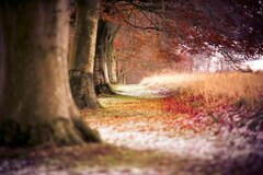 Autumn