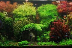 Aquarium