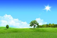 Persian Landscape