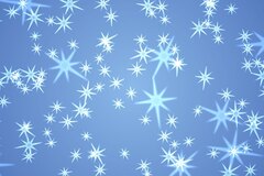 Winter Stars