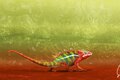 Chameleon - Bukalemun