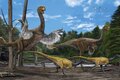 Gigantoraptor