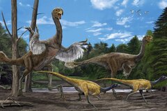 Gigantoraptor