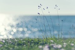 Soft Light