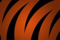 Orange line