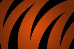 Orange line