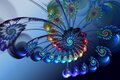 abstract feather
