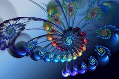 abstract feather