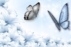 Blue Lily Bliss
