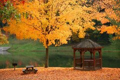 The Autumn's Silent