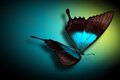 neon butterfly