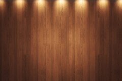 woods light