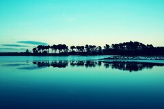 Blue View