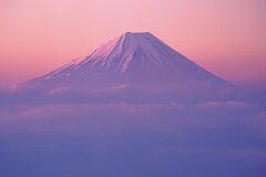 Mt. Fuji
