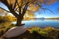 Beautiful Autumn